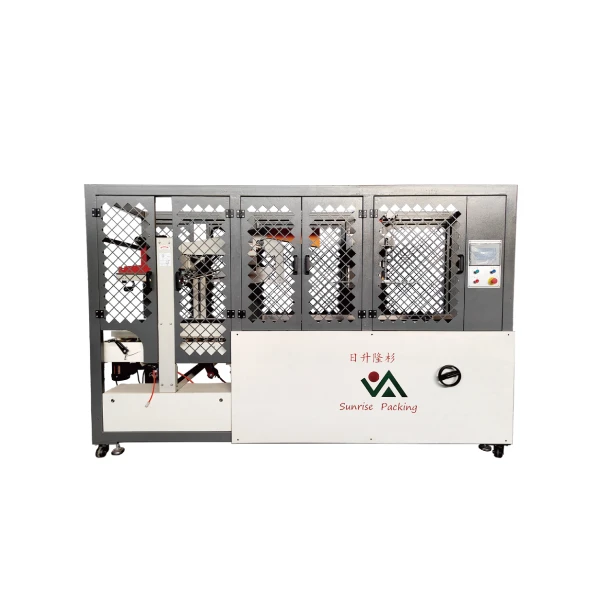 Case Packer For Packing